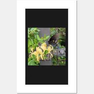 Butterfly on Metal Bridge Photographic Image Posters and Art